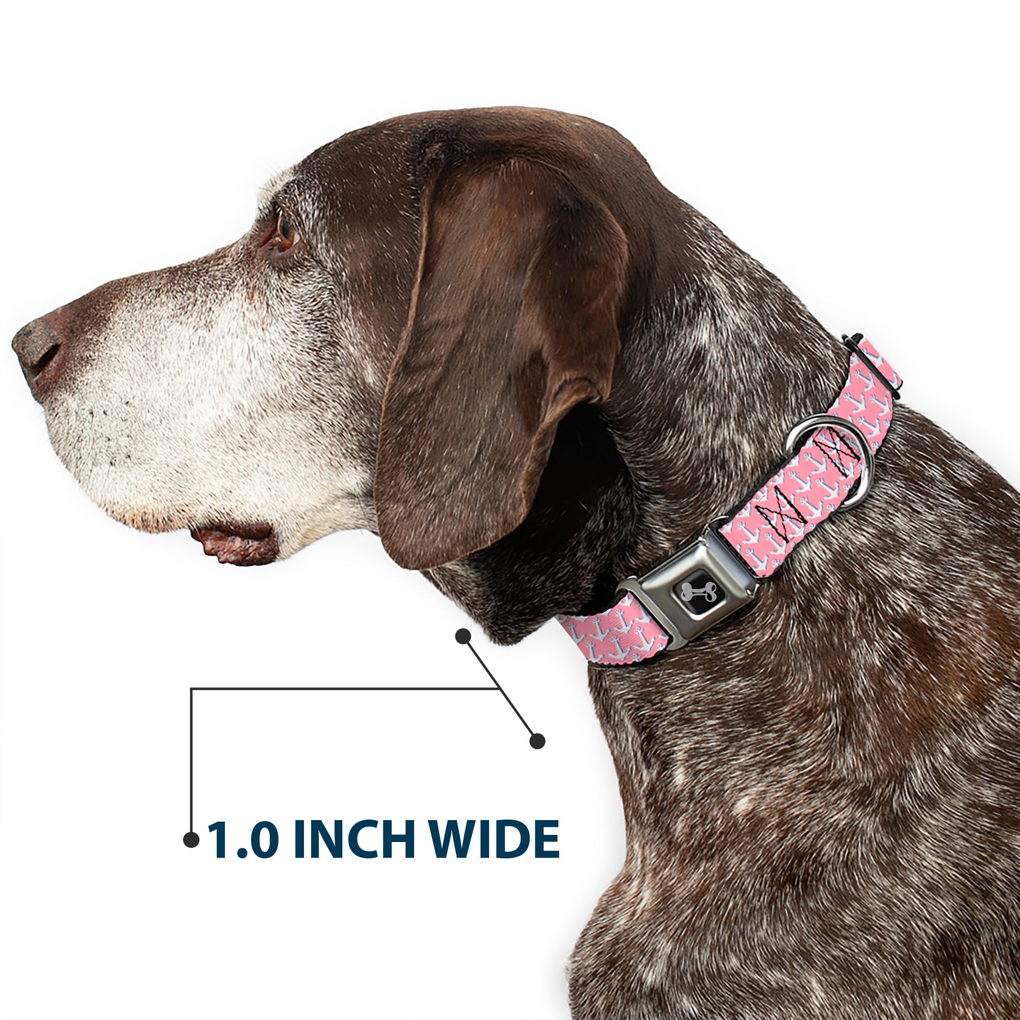 Dog Bone Seatbelt Buckle Collar - Anchor2 Monogram Baby Pink/Baby Blue/White