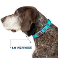 Load image into Gallery viewer, Dog Bone Seatbelt Buckle Collar - Anchor2/Helm Monogram Blues

