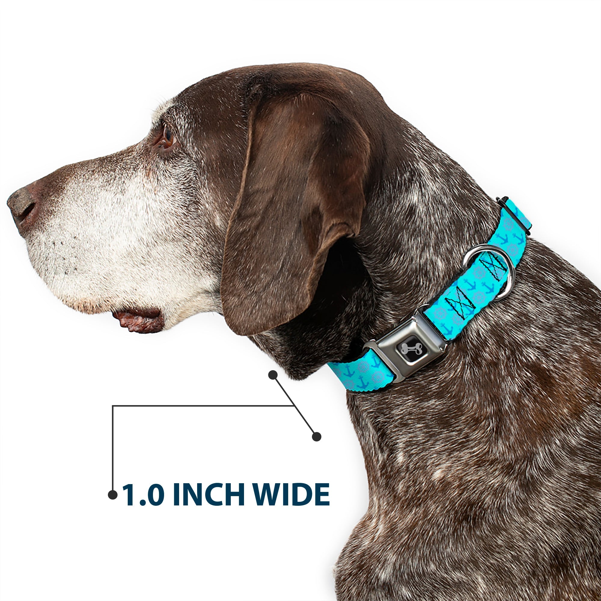 Dog Bone Seatbelt Buckle Collar - Anchor2/Helm Monogram Blues