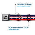 Load image into Gallery viewer, Dog Bone Seatbelt Buckle Collar - Americana Stripe w/Stars Blue/Red/White
