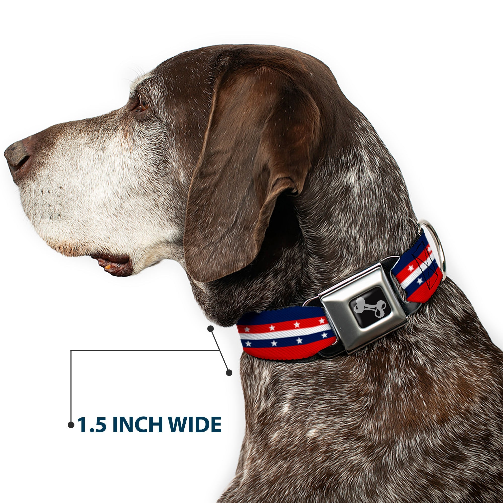 Dog Bone Seatbelt Buckle Collar - Americana Stripe w/Stars Blue/Red/White