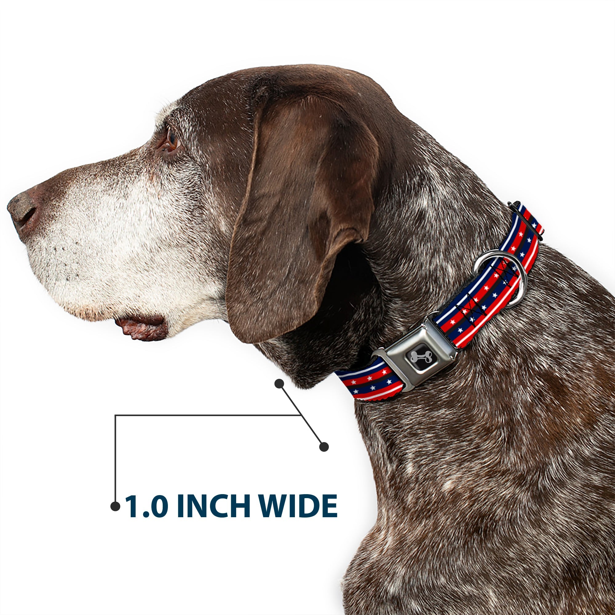 Dog Bone Seatbelt Buckle Collar - Americana Stripe w/Stars2 Blue/Red/White