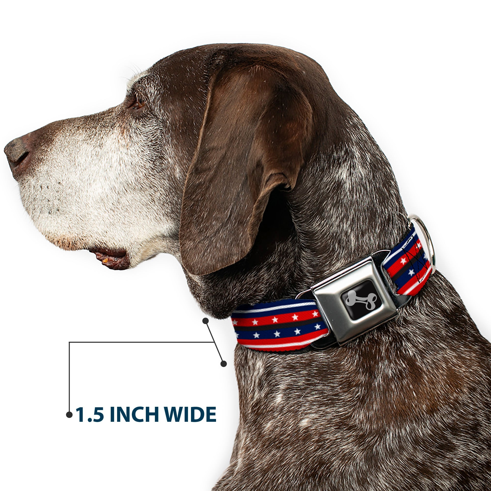 Dog Bone Seatbelt Buckle Collar - Americana Stripe w/Stars2 Blue/Red/White