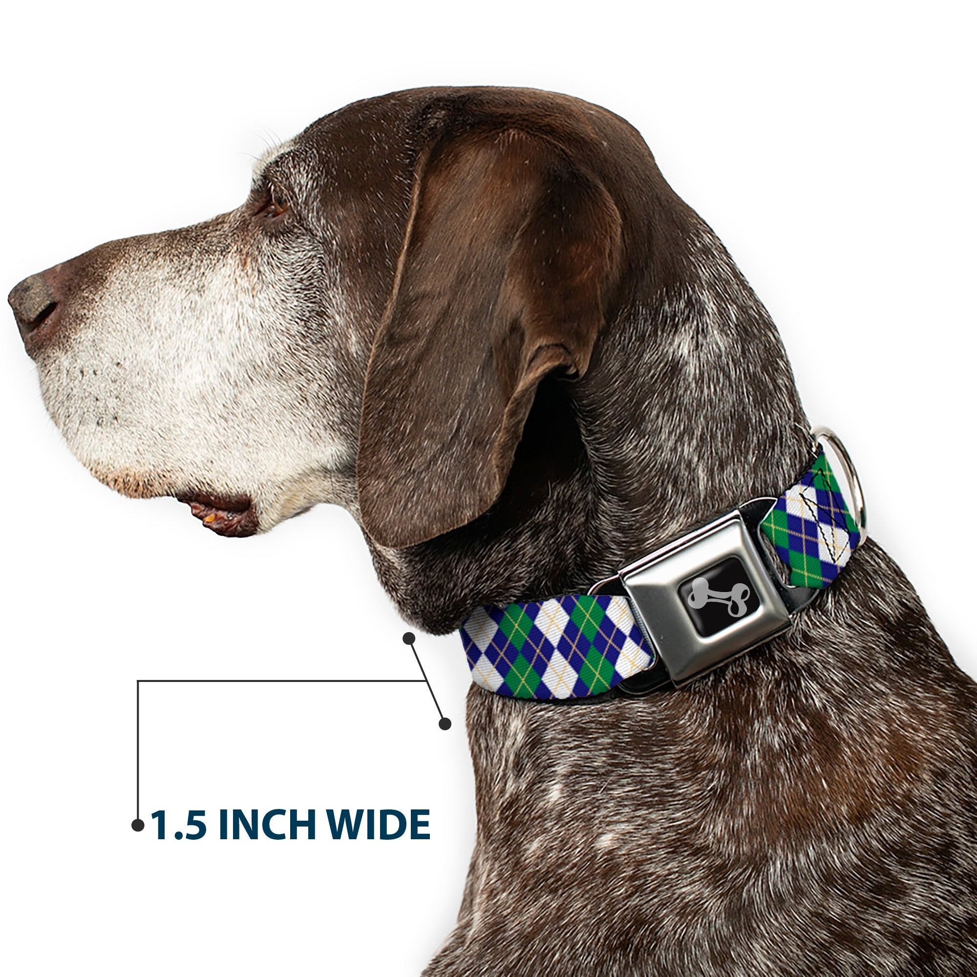 Dog Bone Black/Silver Seatbelt Buckle Collar - Argyle Navy/Green/White/Gold