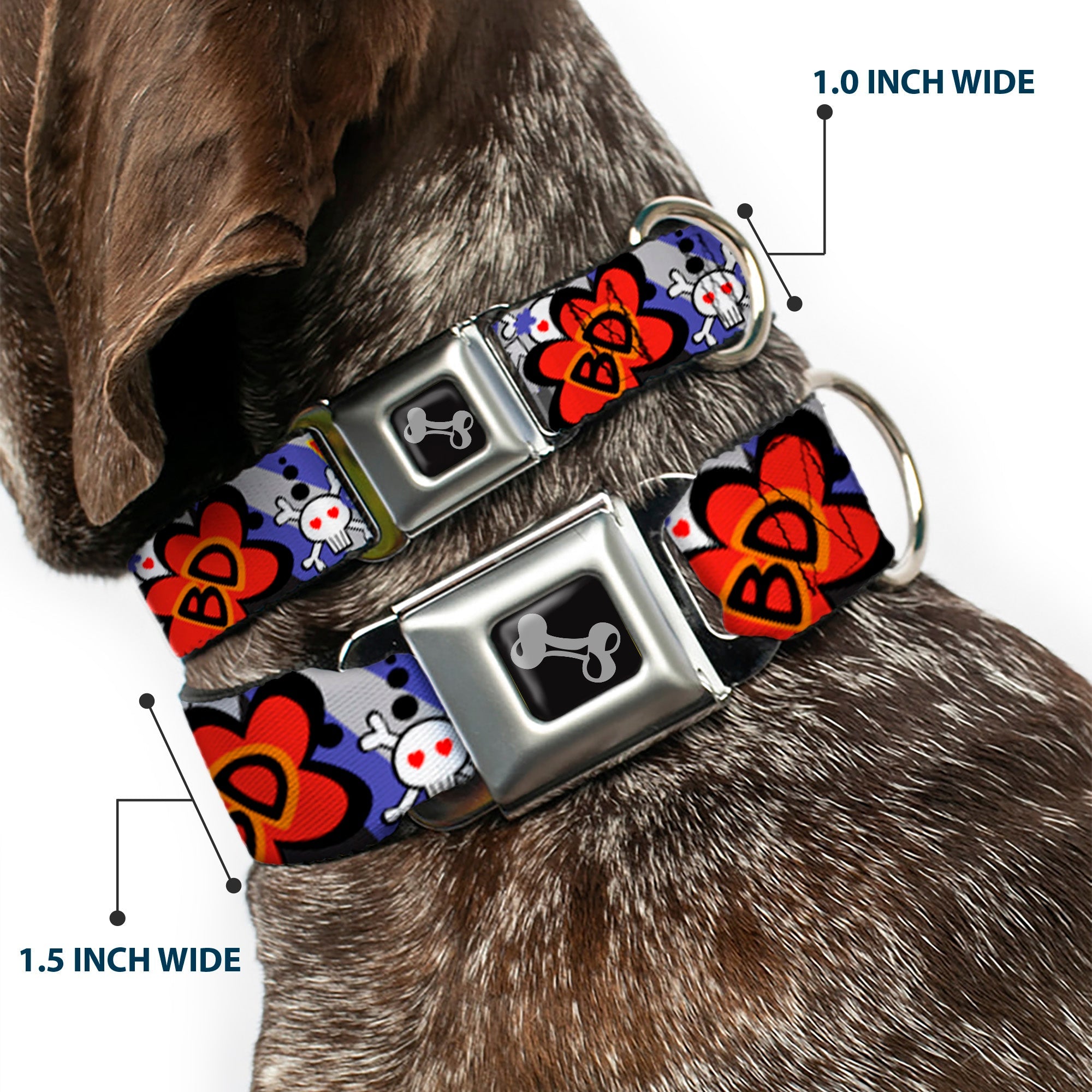 Dog Bone Seatbelt Buckle Collar - BD Cartoon