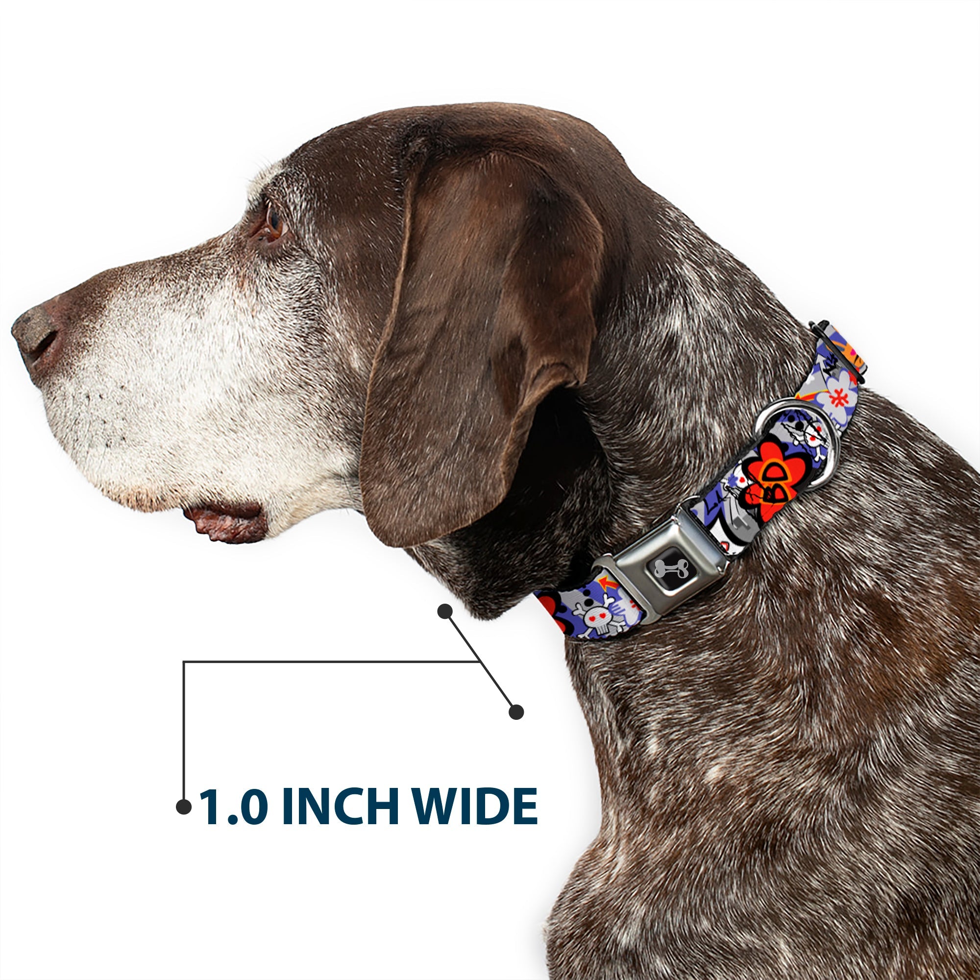 Dog Bone Seatbelt Buckle Collar - BD Cartoon