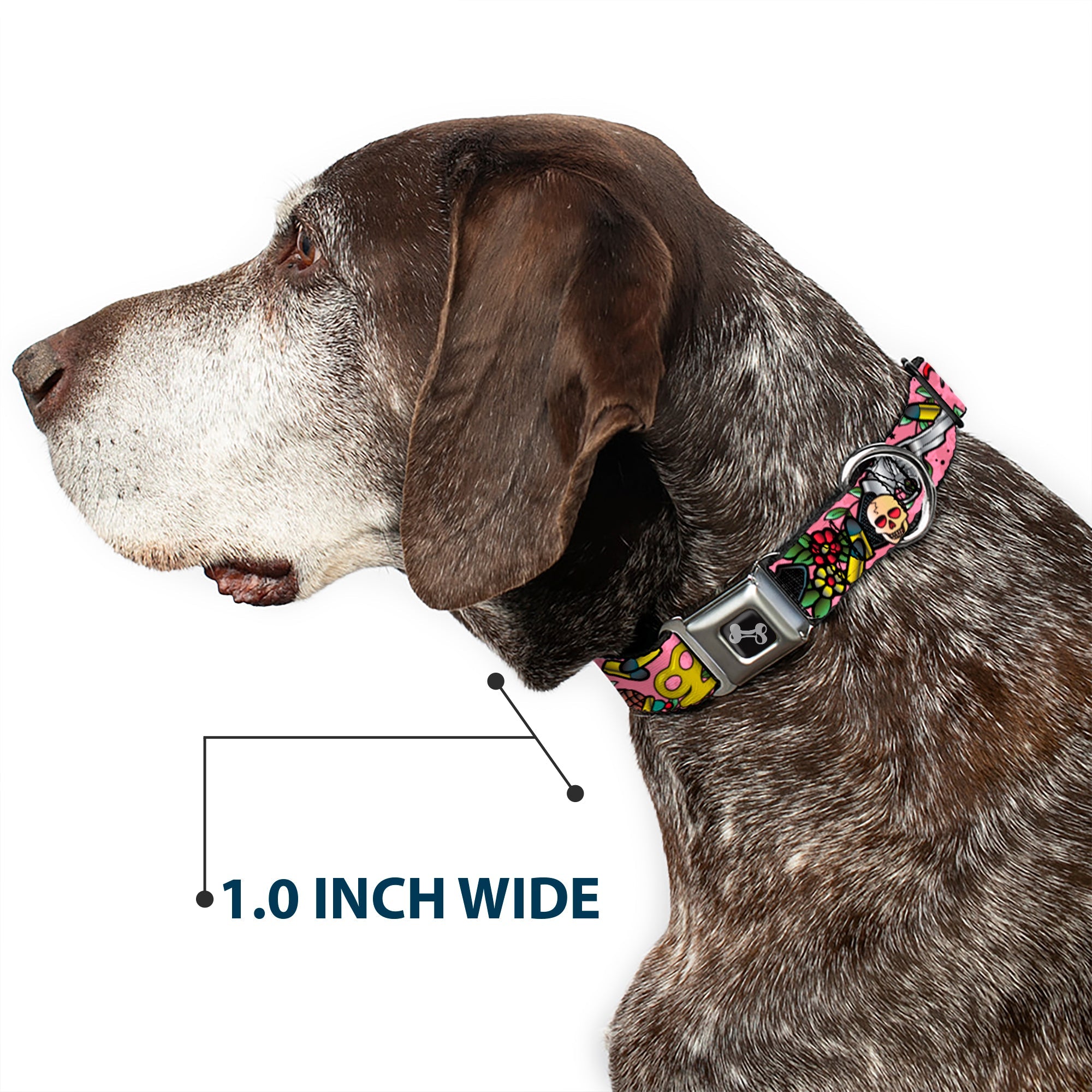 Dog Bone Seatbelt Buckle Collar - Born to Raise Hell Pink