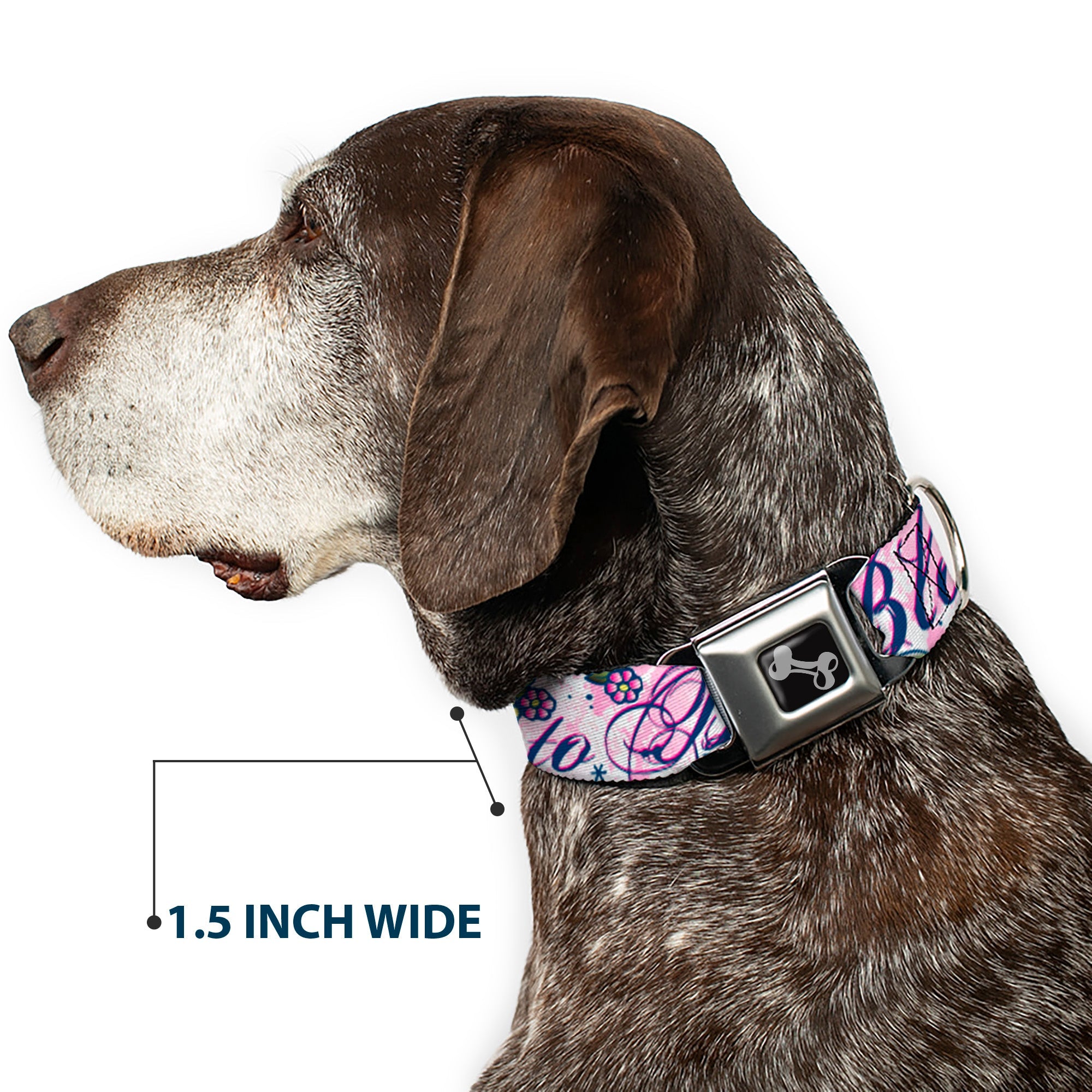 Dog Bone Seatbelt Buckle Collar - Born to Blossom Blue