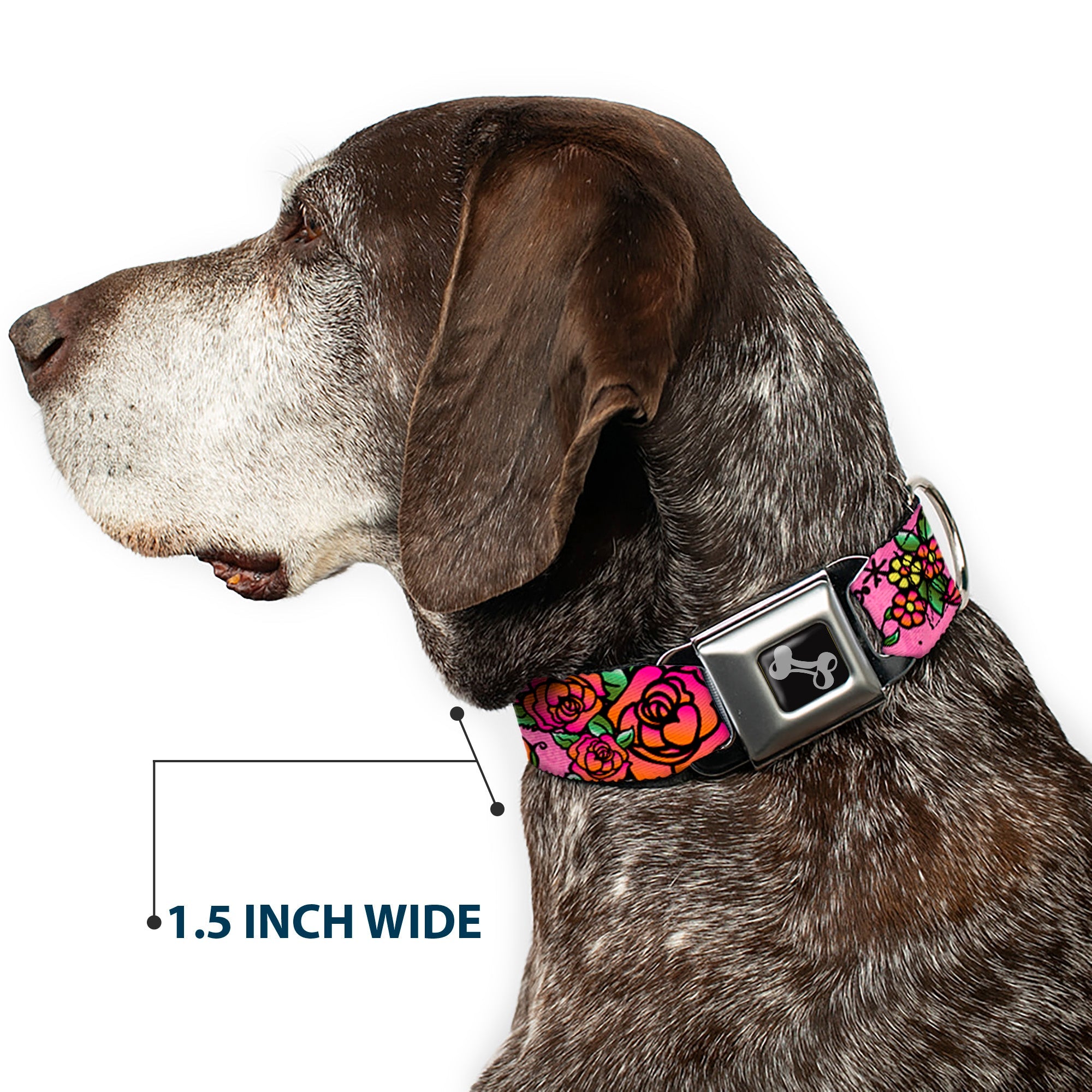Dog Bone Seatbelt Buckle Collar - Born to Blossom CLOSE-UP Pink