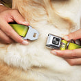 Load image into Gallery viewer, Dog Bone Seatbelt Buckle Collar - BD Psychedelic
