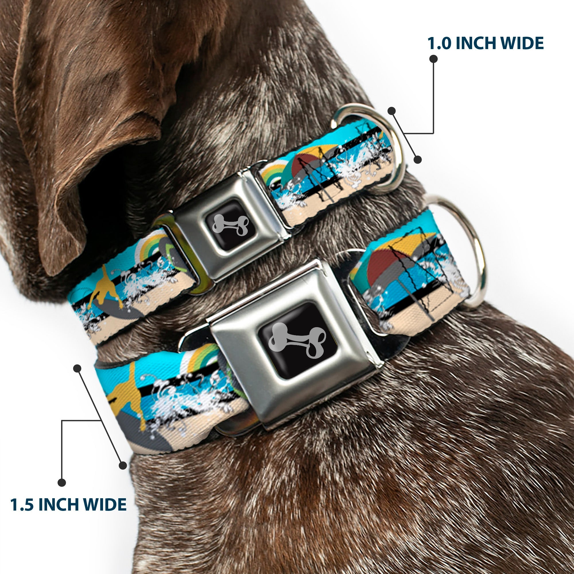Dog Bone Seatbelt Buckle Collar - Beach Scene 1