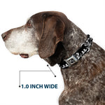 Dog Bone Seatbelt Buckle Collar - Butterfly Garden2 Black/White