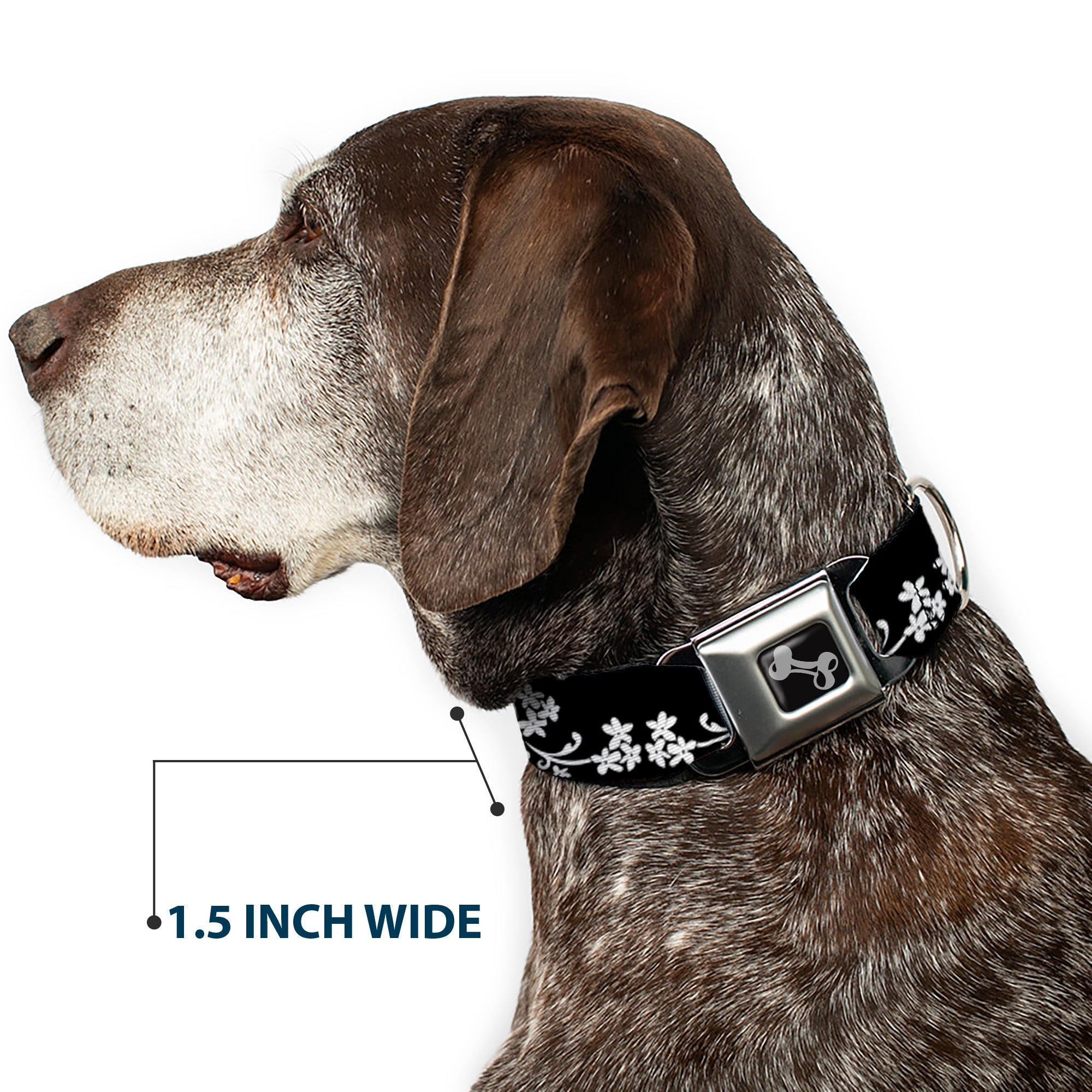 Dog Bone Seatbelt Buckle Collar - Butterfly Garden2 Black/White