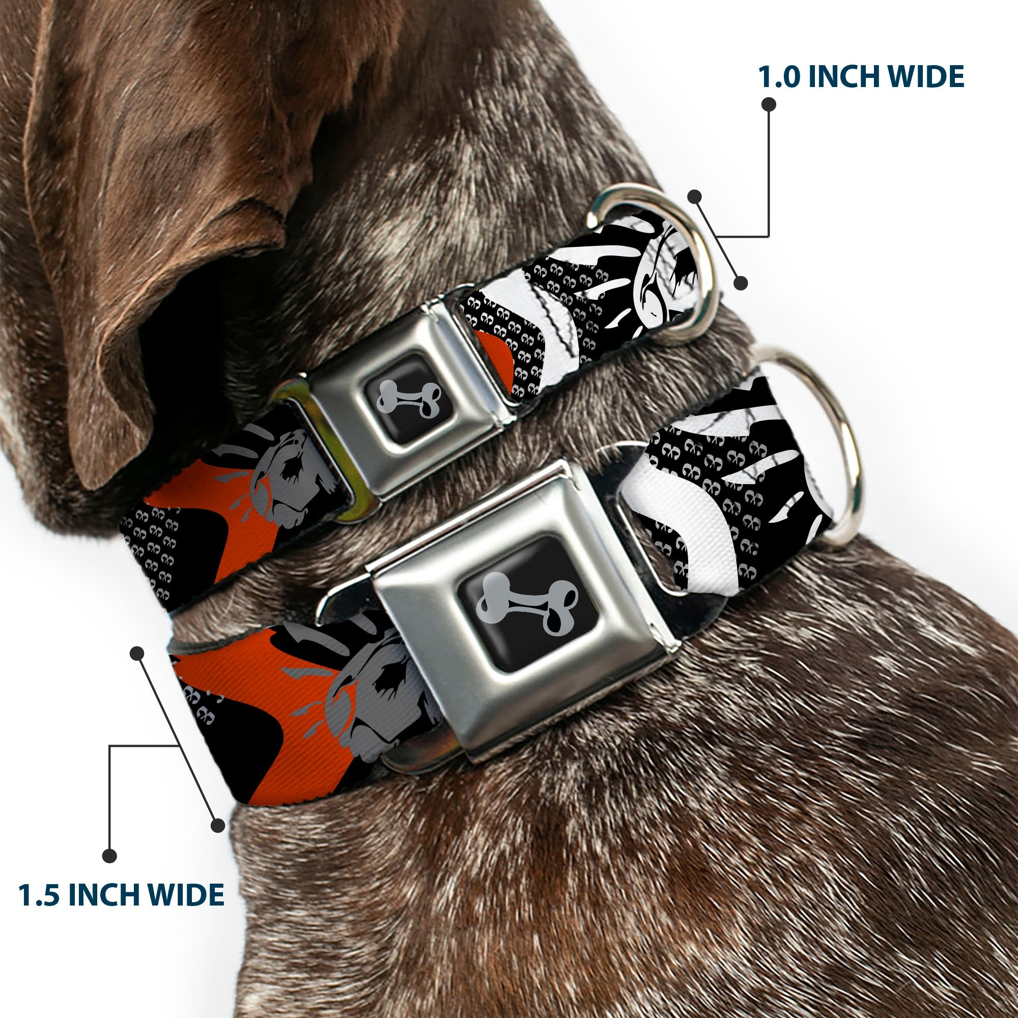 Dog Bone Seatbelt Buckle Collar - BD Die Hard Skull 01