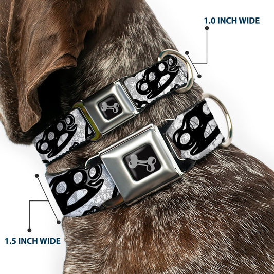 Buckle-Down Seatbelt Buckle Dog Collar - Brass Knuckles White/Gray/Black