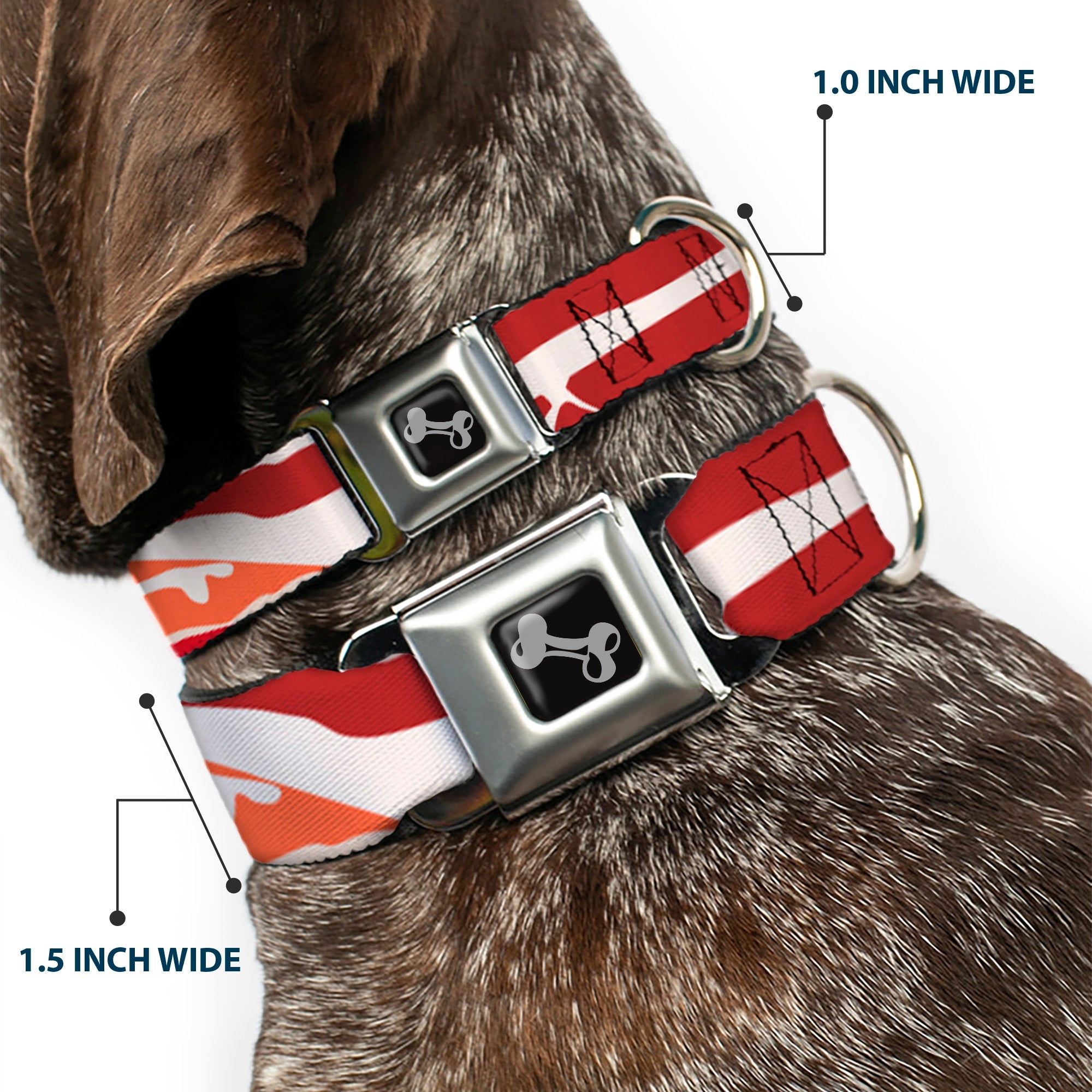 Dog Bone Seatbelt Buckle Collar - Bacon CLOSE-UP