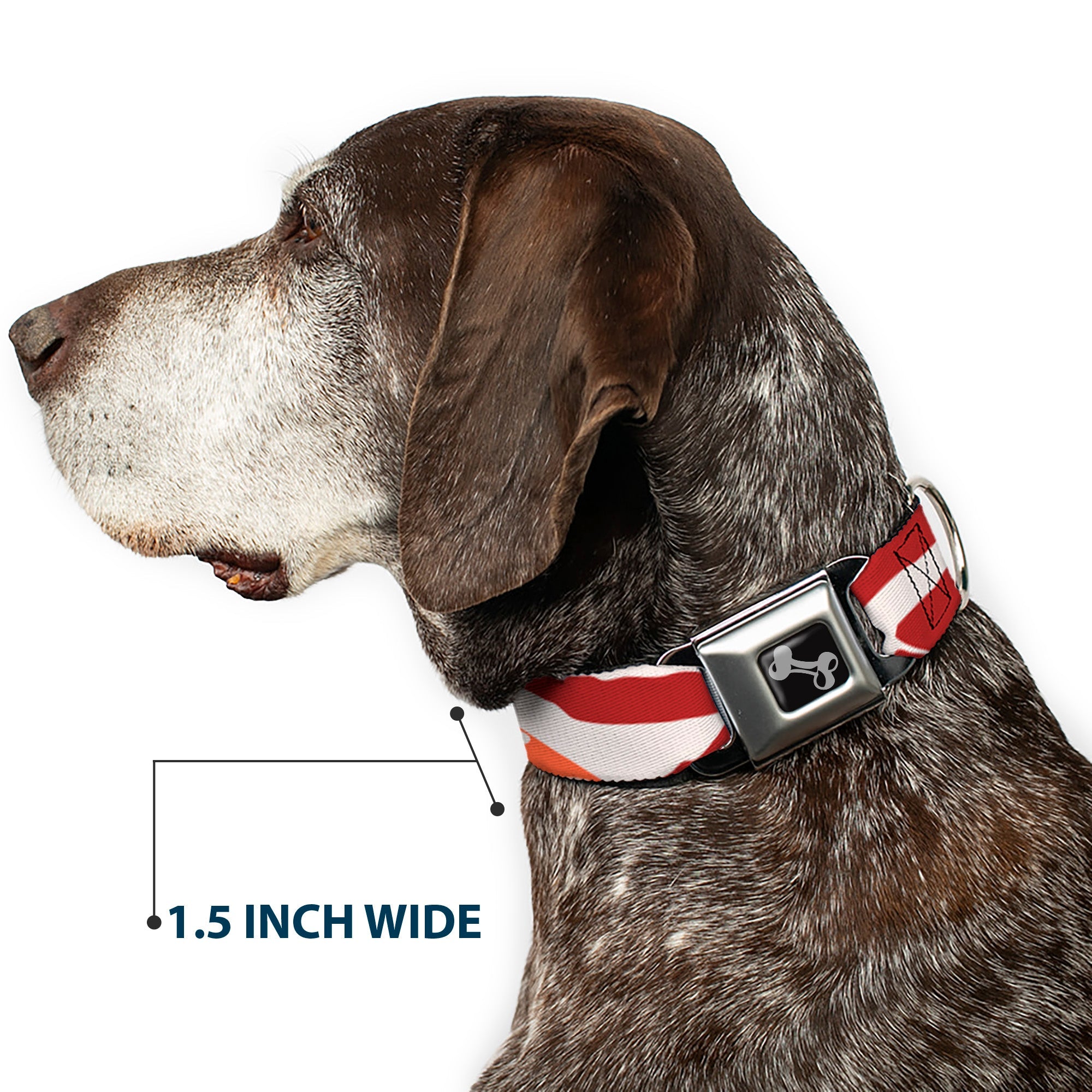 Dog Bone Seatbelt Buckle Collar - Bacon CLOSE-UP