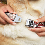 Dog Bone Seatbelt Buckle Collar - Bacon CLOSE-UP