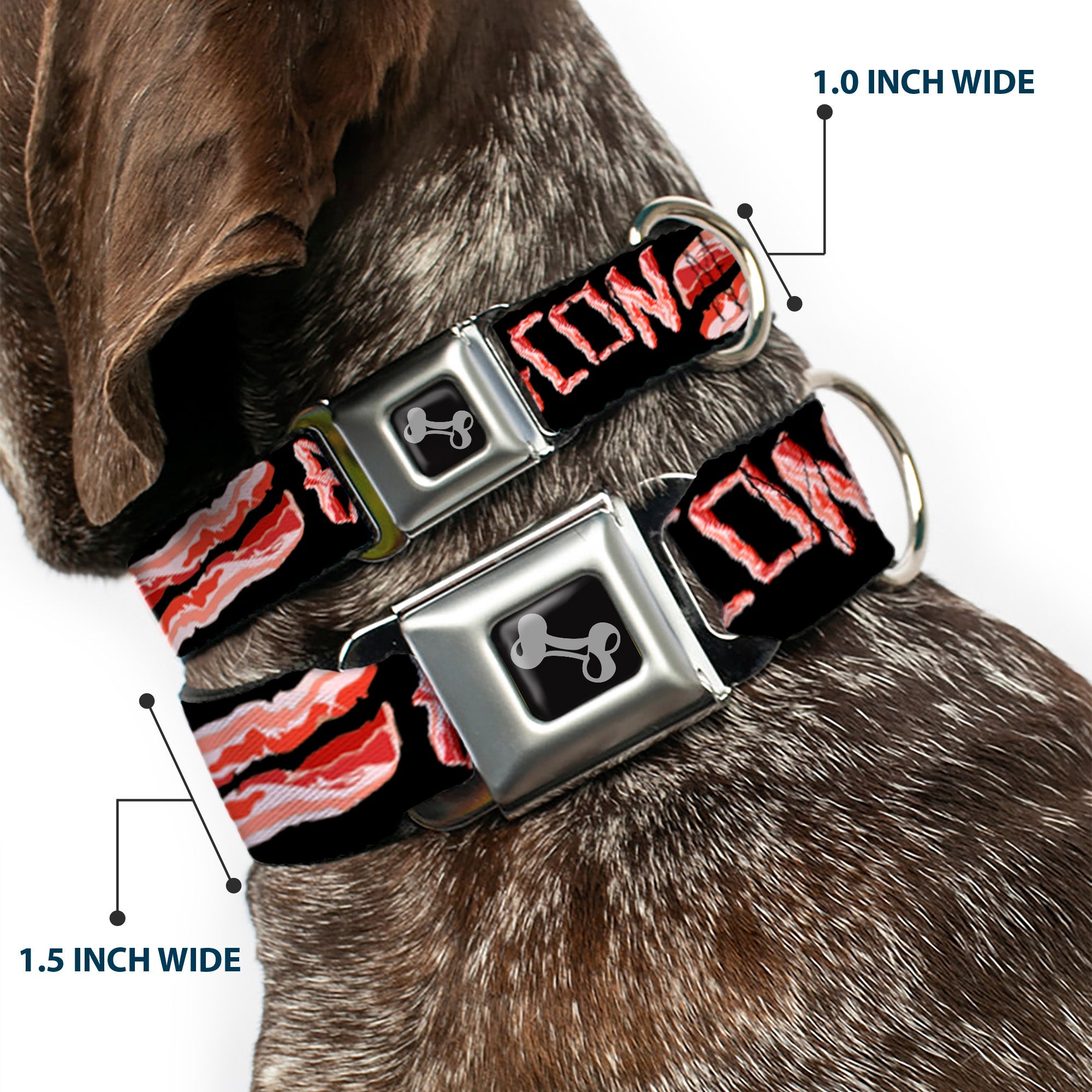 Dog Bone Seatbelt Buckle Collar - Bacon w/Text2