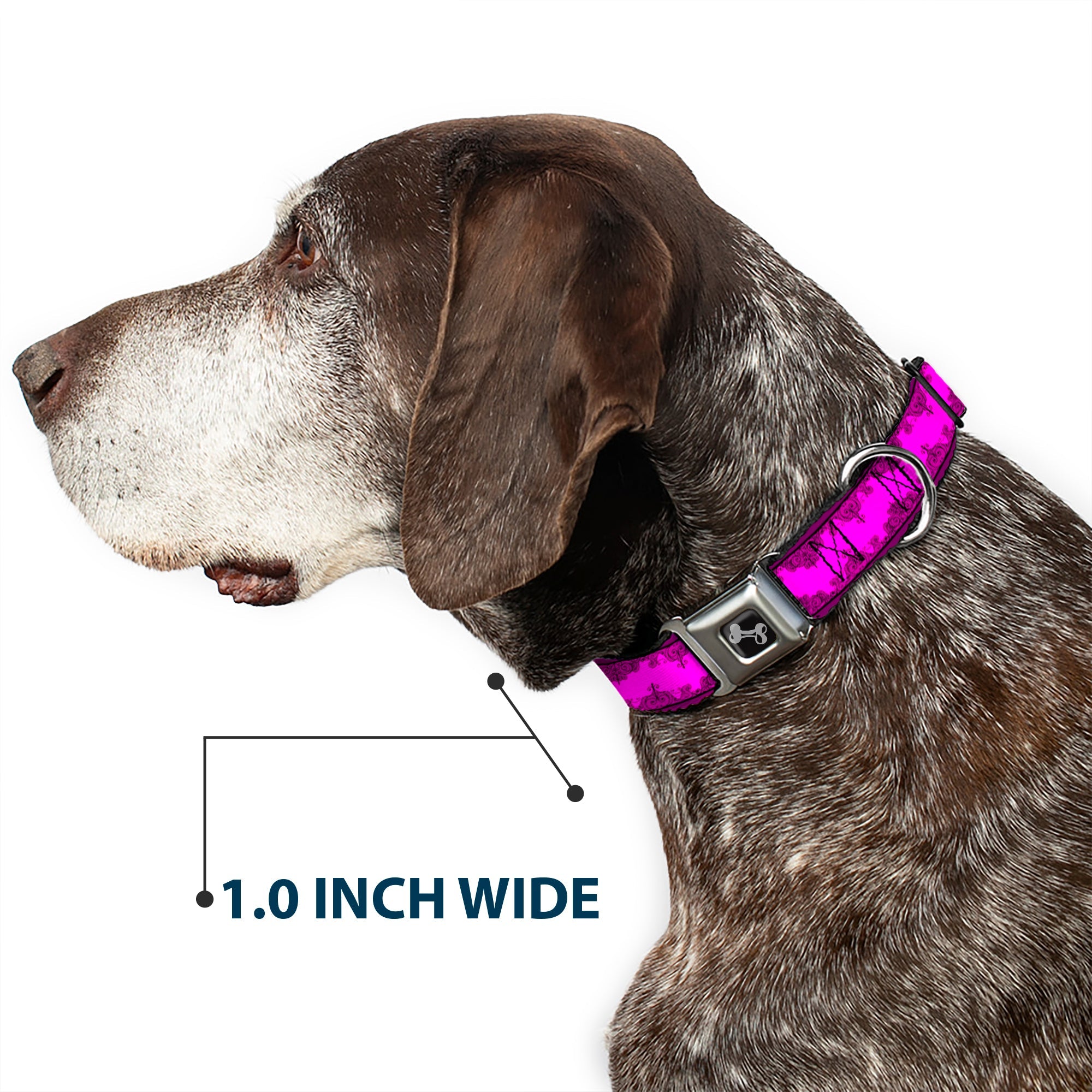 Dog Bone Seatbelt Buckle Collar - Boudoir Wallpaper Fuchsia/Black