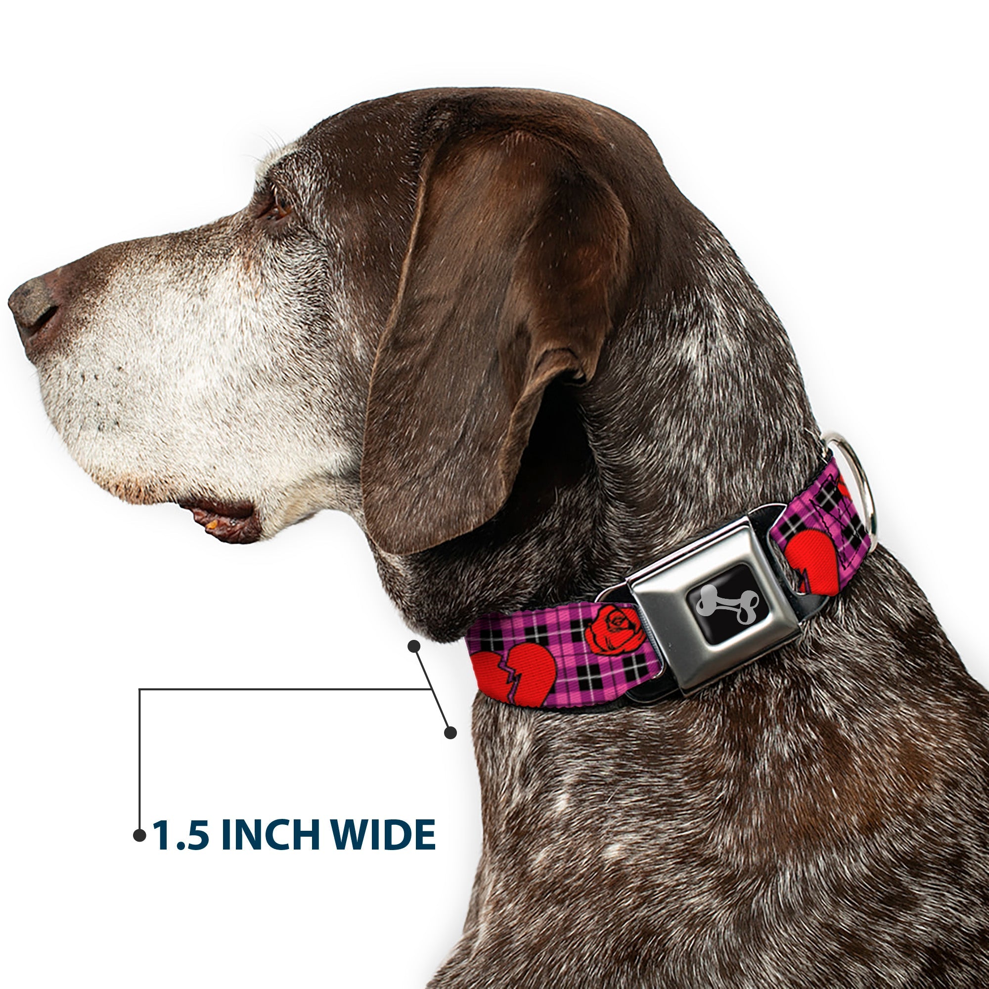 Dog Bone Seatbelt Buckle Collar - Broken Hearts & Roses w/Fuchsia Plaid