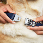 Dog Bone Seatbelt Buckle Collar - Ball/Stripes Tan/Blue/Burgundy