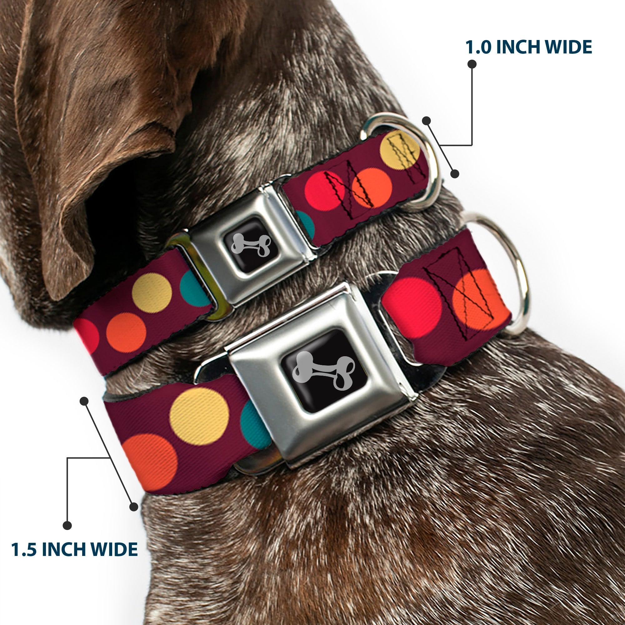 Dog Bone Seatbelt Buckle Collar - Big Dots Purple/Multi Pastel