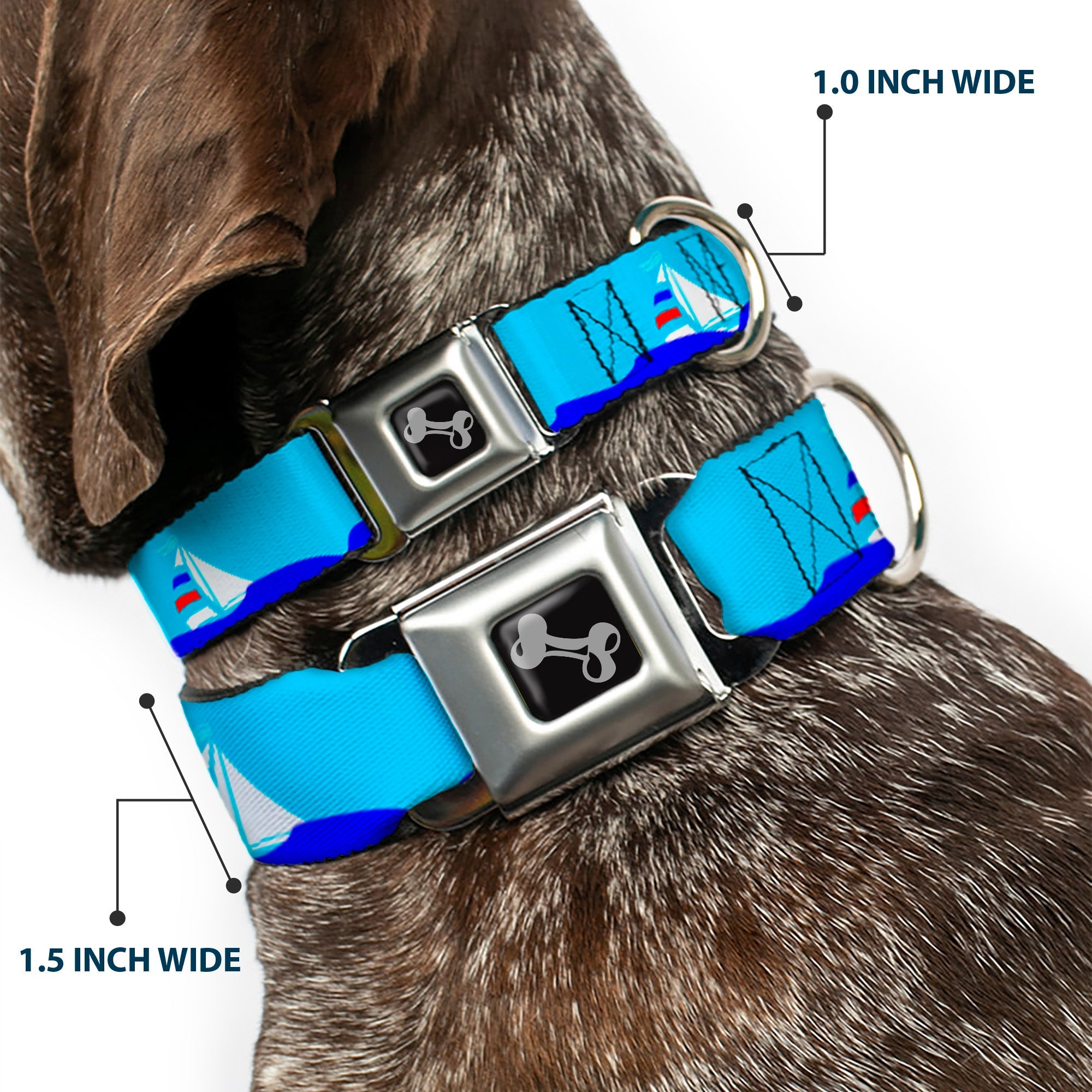 Dog Bone Seatbelt Buckle Collar - Boats on the Water