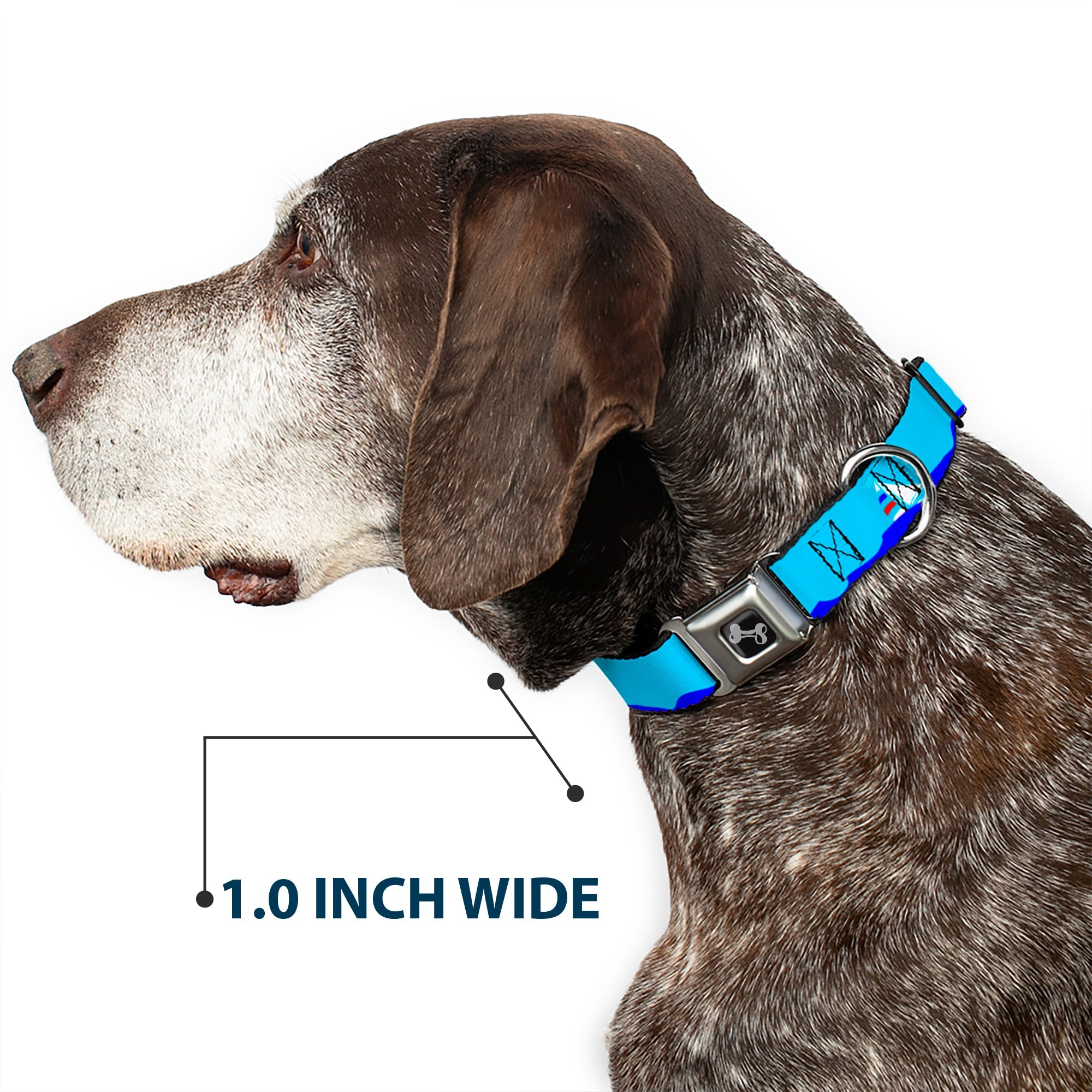 Dog Bone Seatbelt Buckle Collar - Boats on the Water