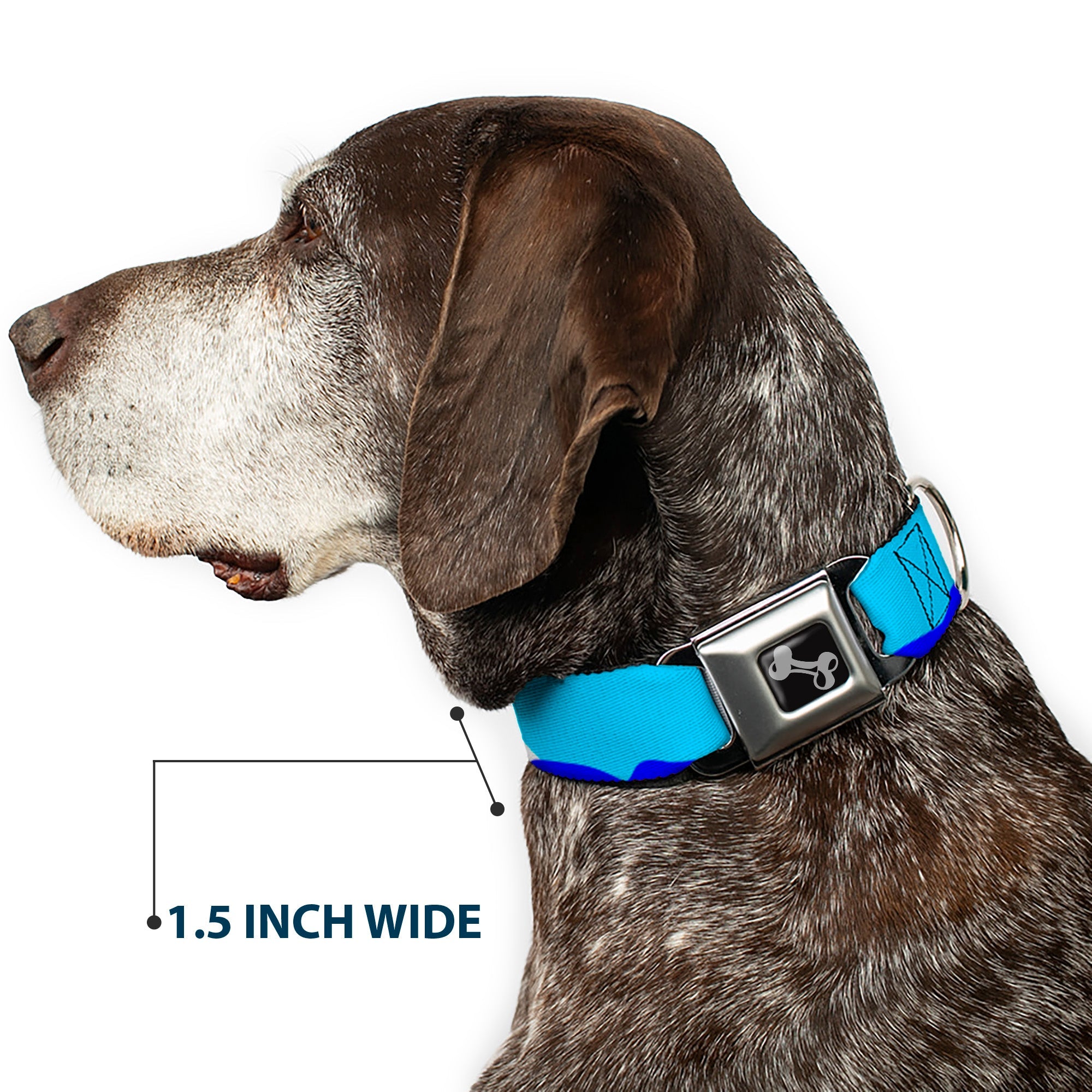 Dog Bone Seatbelt Buckle Collar - Boats on the Water