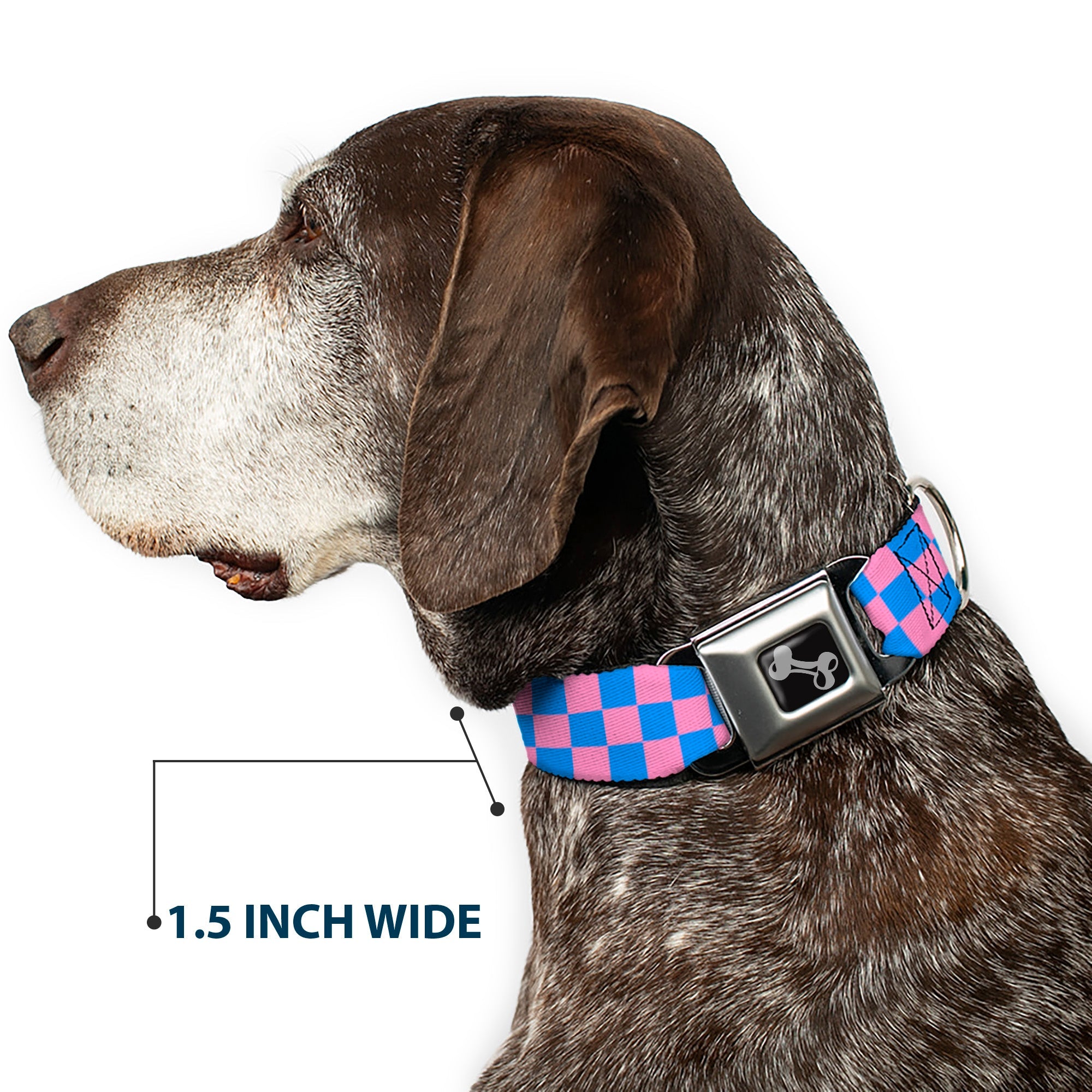 Dog Bone Seatbelt Buckle Collar - Checker Baby Pink/Baby Blue
