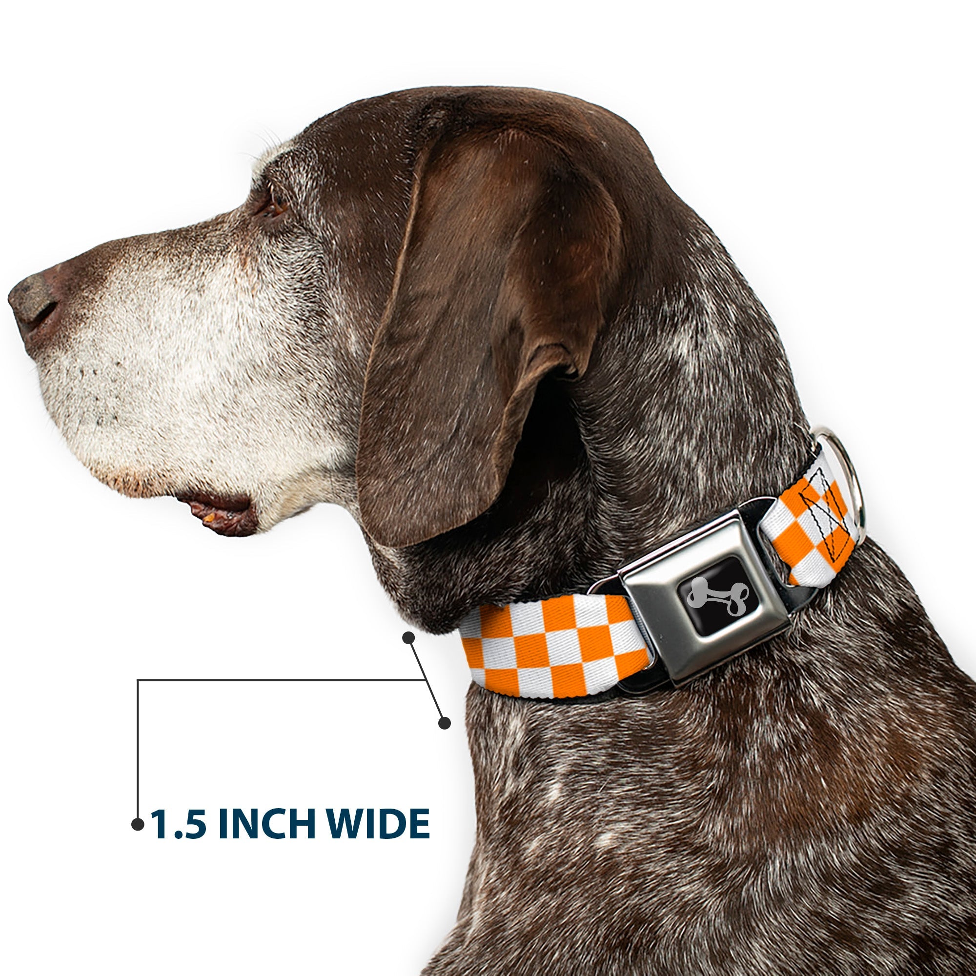 Dog Bone Seatbelt Buckle Collar - Checker White/TN Orange