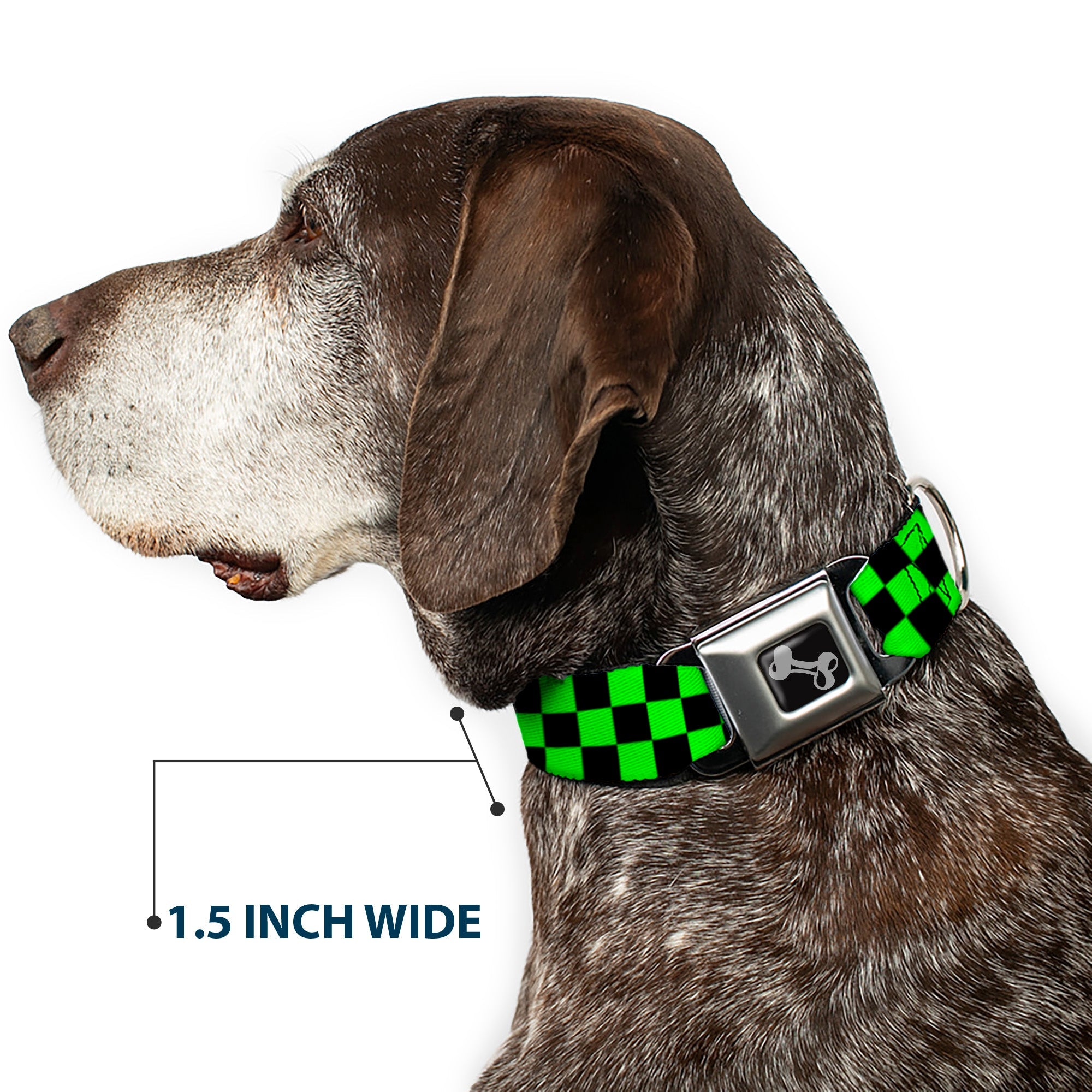 Dog Bone Seatbelt Buckle Collar - Checker Black/Neon Green