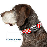 Dog Bone Seatbelt Buckle Collar - Checker Red/White