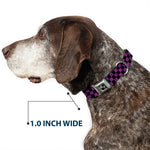 Dog Bone Seatbelt Buckle Collar - Checker Black/Purple