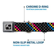 Dog Bone Seatbelt Buckle Collar - Checker Stripe Black/Gray/Blue/Gold/Pink