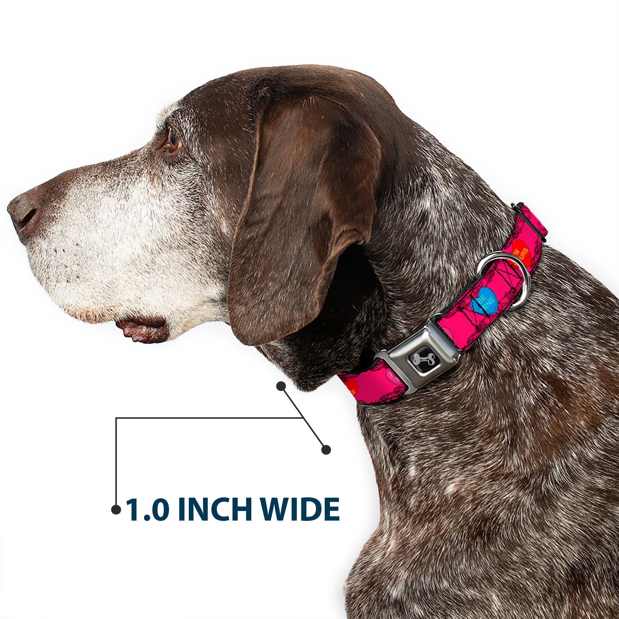 Dog Bone Seatbelt Buckle Collar - Candy Hearts