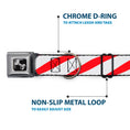 Load image into Gallery viewer, Dog Bone Seatbelt Buckle Collar - Candy Cane
