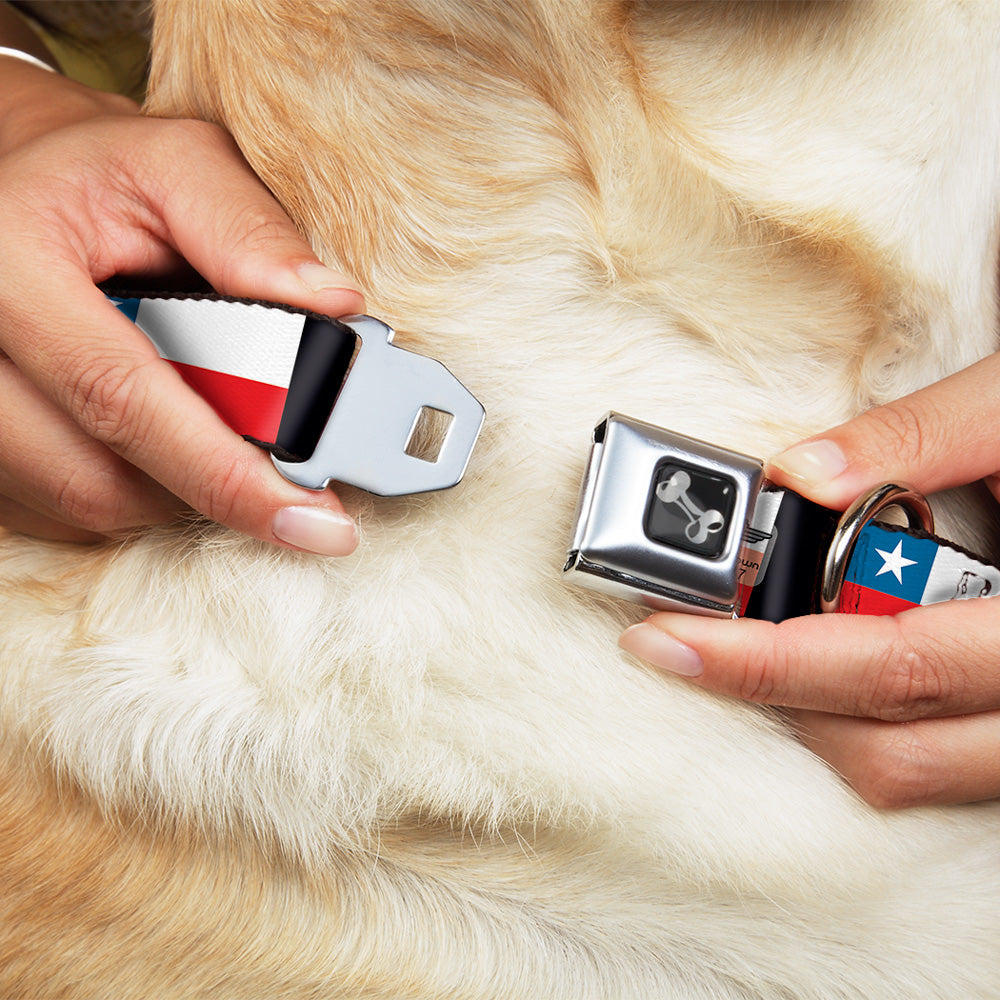 Dog Bone Seatbelt Buckle Collar - Chile Flags