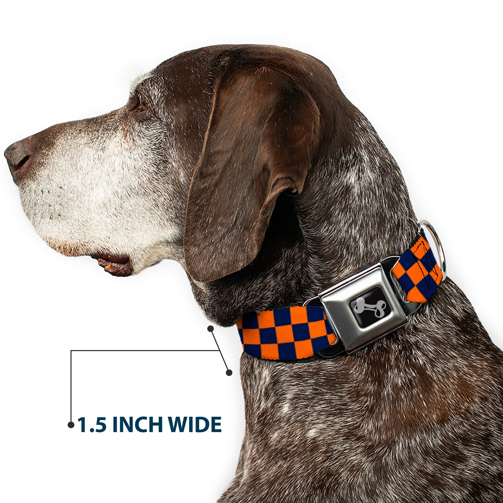 Dog Bone Seatbelt Buckle Collar - Checker Orange/Blue