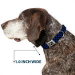 Dog Bone Seatbelt Buckle Collar - Checker Black/Royal 288C