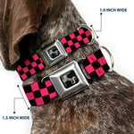 Dog Bone Seatbelt Buckle Collar - Checker Black/Honeysuckle Red