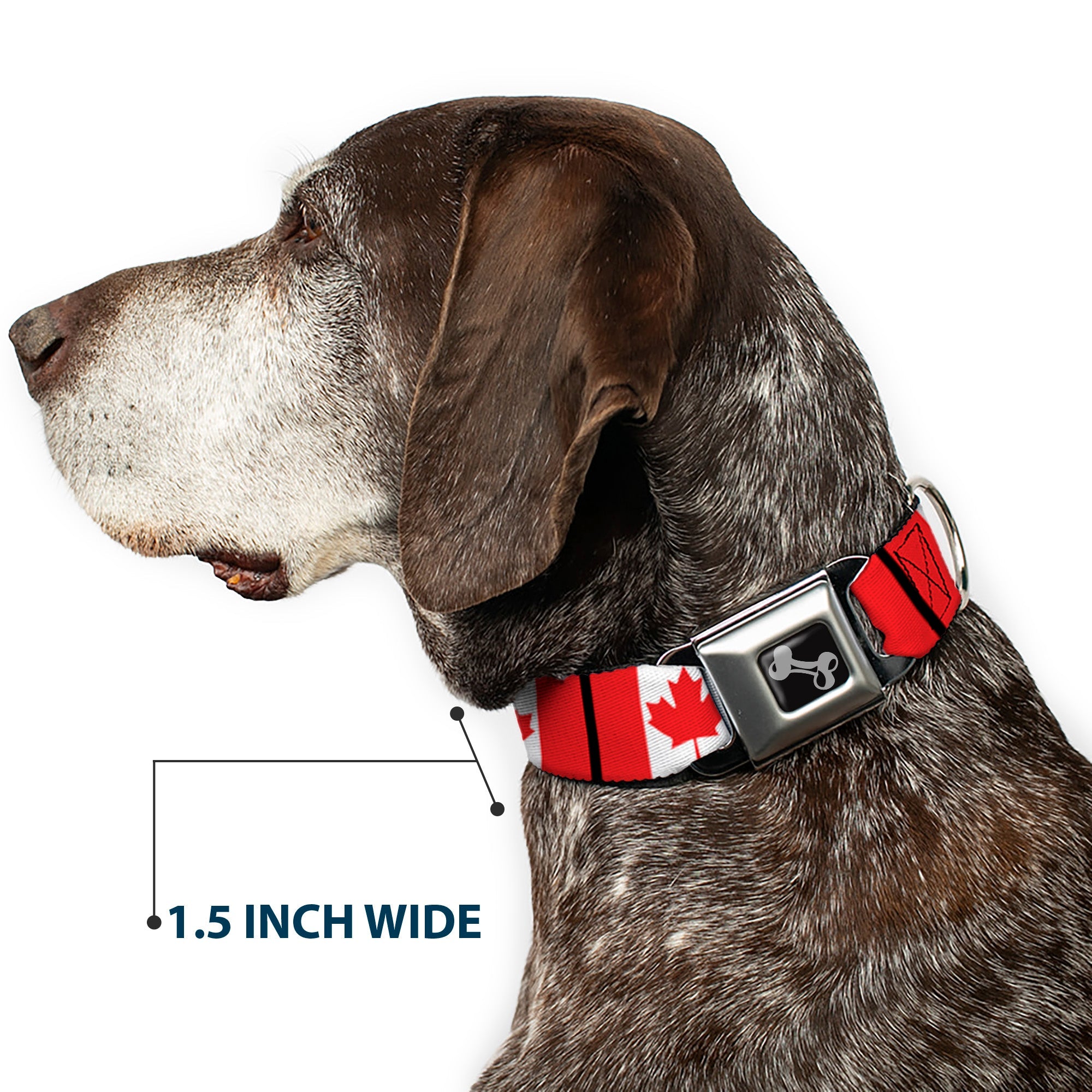 Dog Bone Seatbelt Buckle Collar - Canada Flags