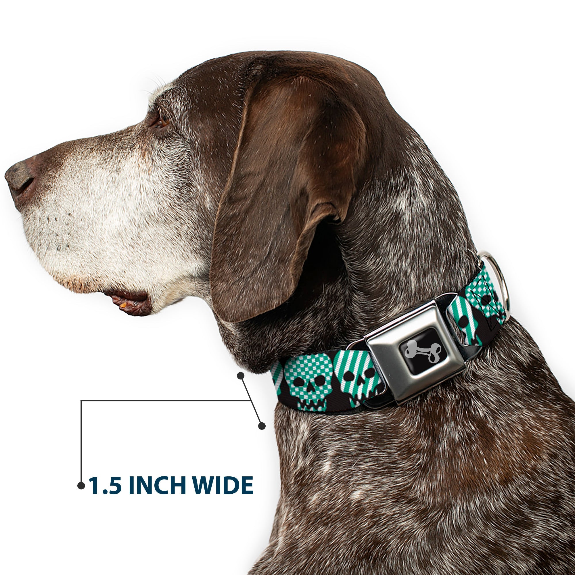 Dog Bone Seatbelt Buckle Collar - Checker & Stripe Skulls Black/White/Green
