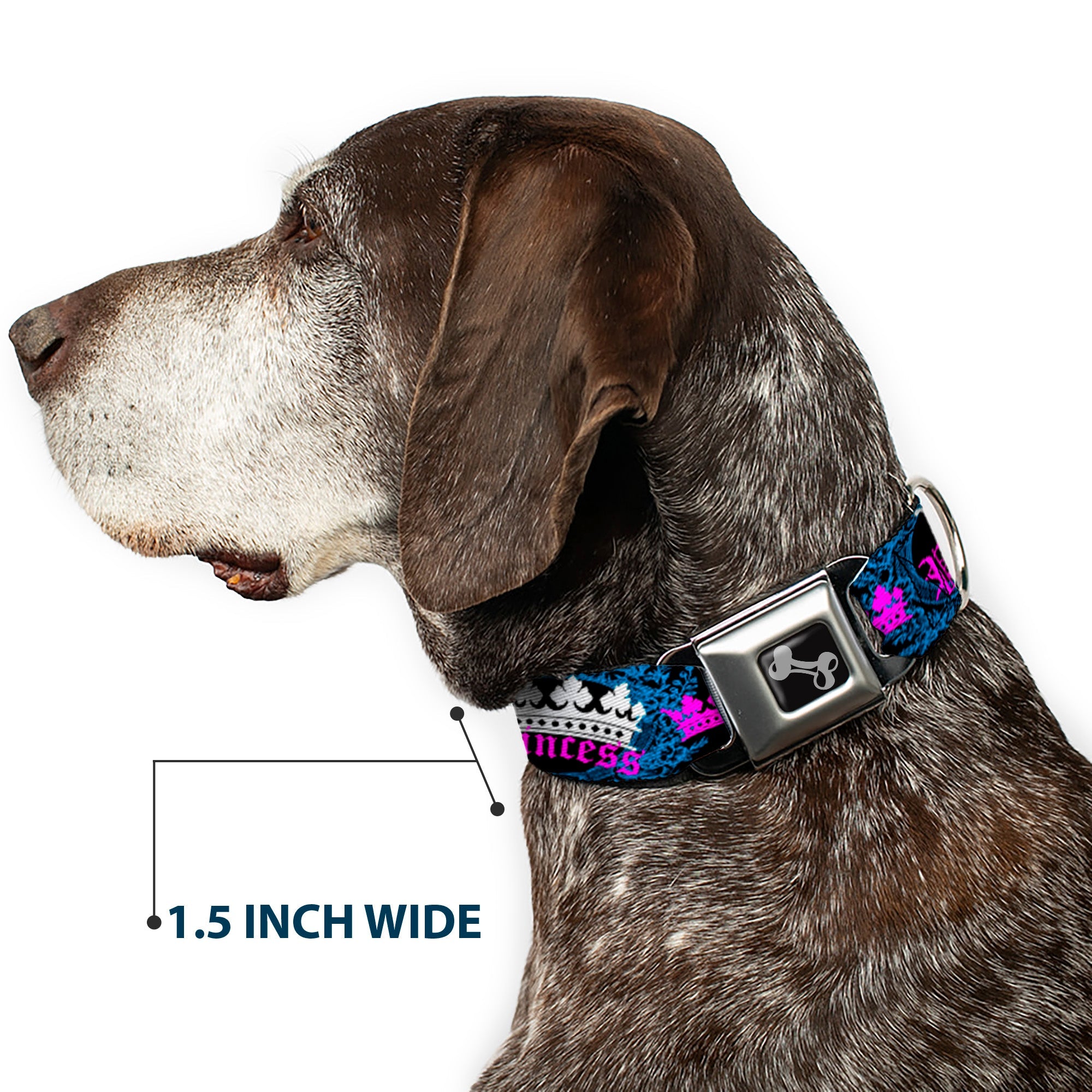 Dog Bone Seatbelt Buckle Collar - Crown Princess Oval Black/Turquoise