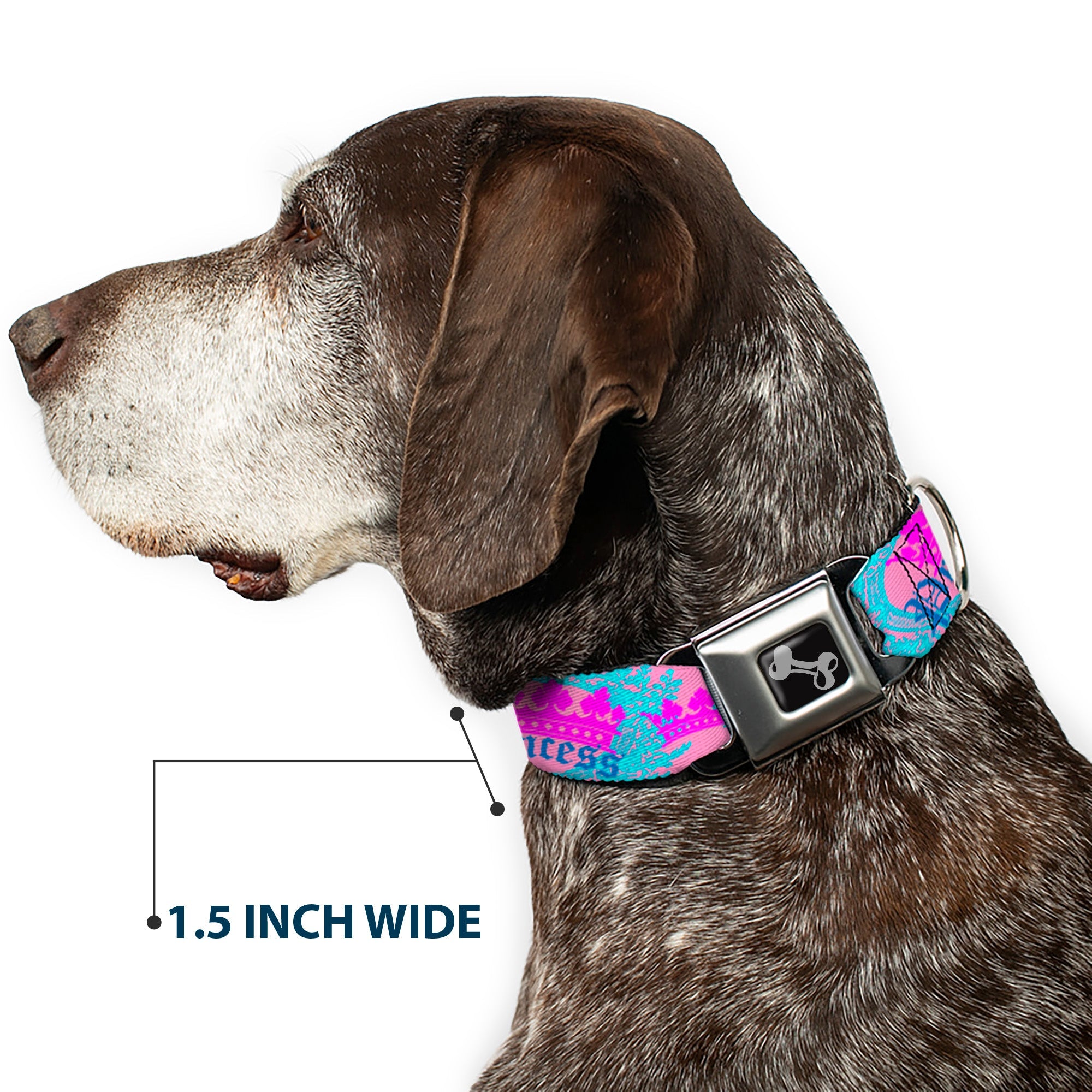 Dog Bone Seatbelt Buckle Collar - Crown Princess Oval Pink/Turquoise