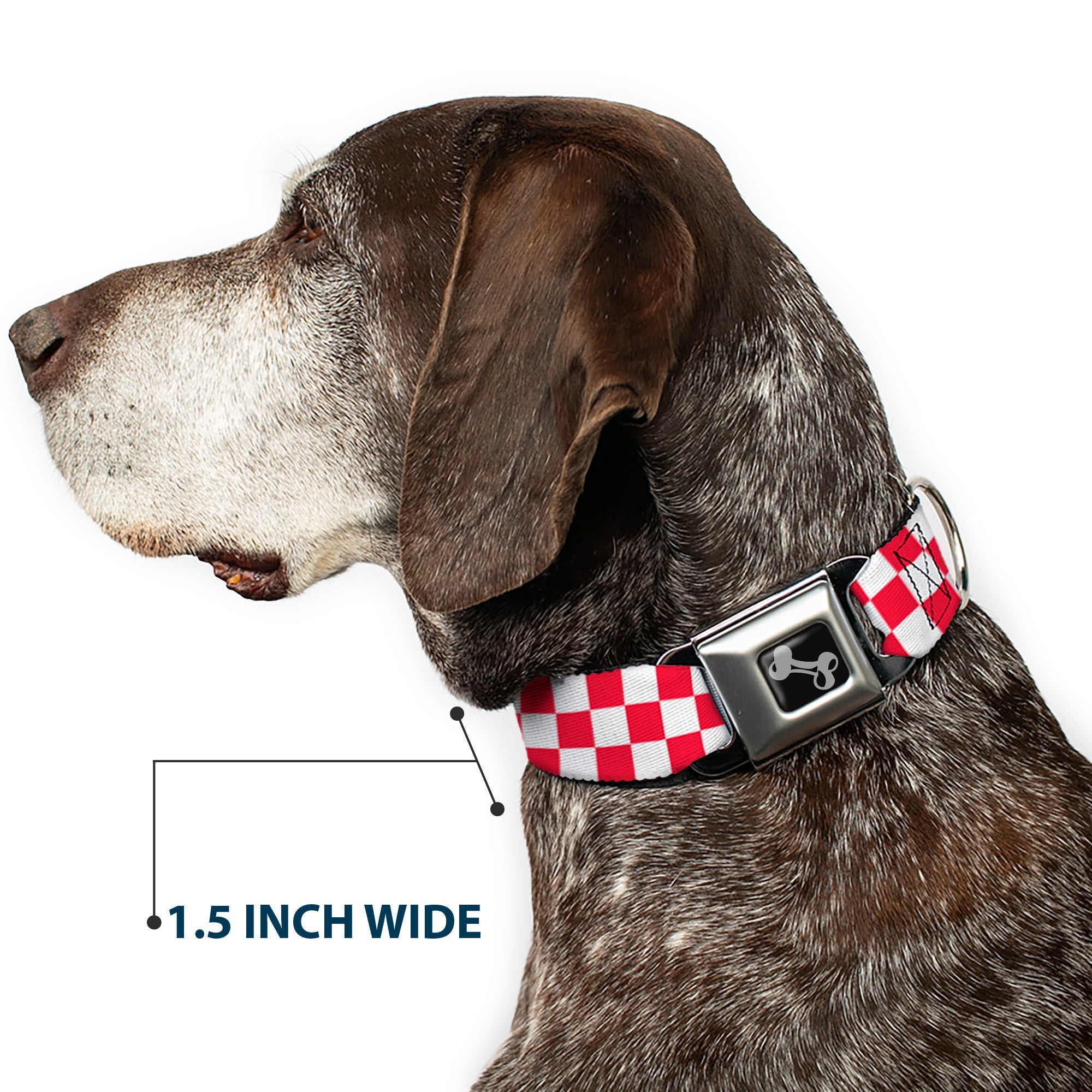 Dog Bone Seatbelt Buckle Collar - Checker Crimson/White