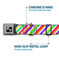 Load image into Gallery viewer, Dog Bone Seatbelt Buckle Collar - Diagonal Stripes White/Multi Neon
