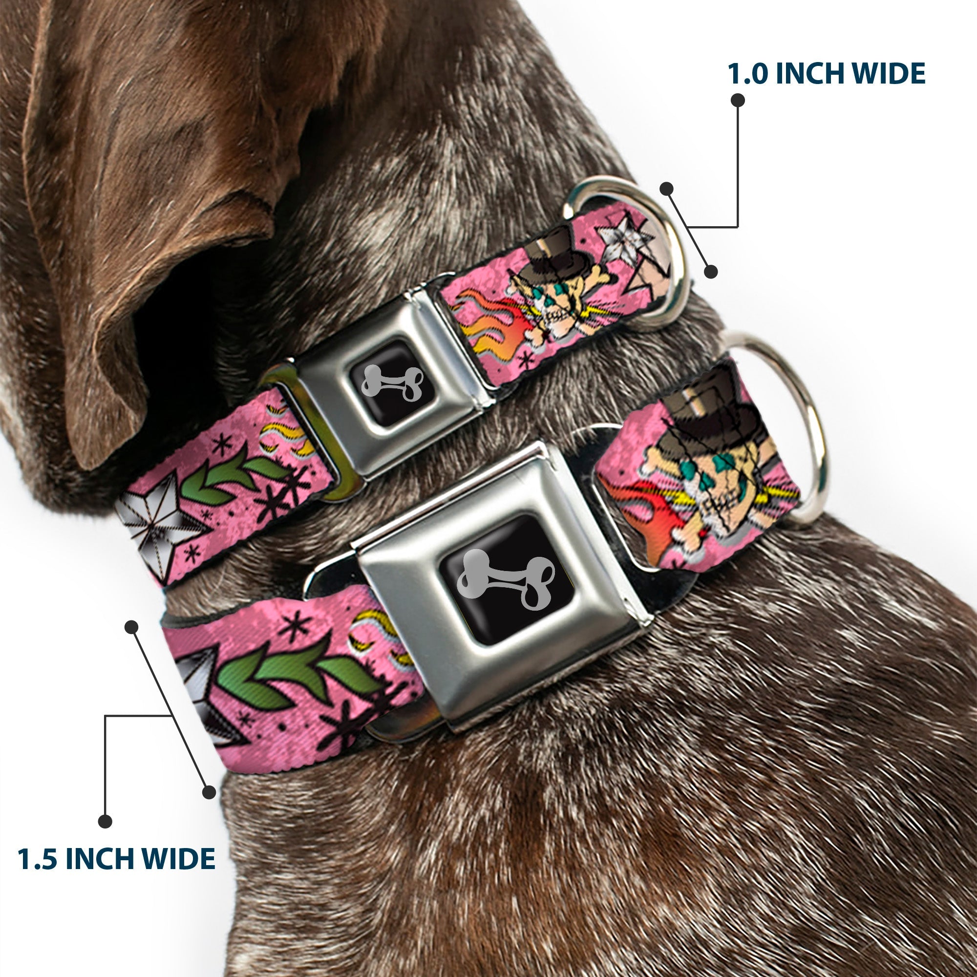 Dog Bone Seatbelt Buckle Collar - Death or Glory Pink