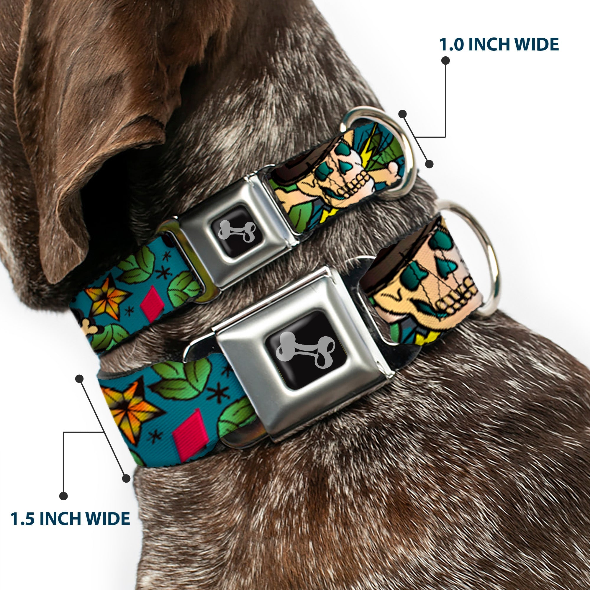 Dog Bone Seatbelt Buckle Collar - Death or Glory CLOSE-UP Gray